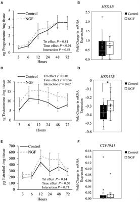 Effects of Nerve Growth Factor-β From Bull Seminal Plasma on Steroidogenesis and Angiogenic Markers of the Bovine Pre-ovulatory Follicle Wall Cell Culture